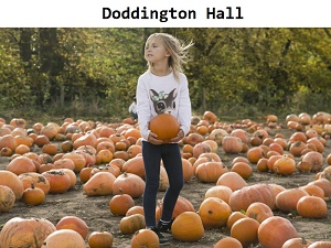 Doddington Hall - pumpkin patch