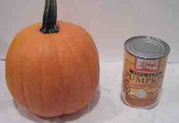 Fresh pumpkin or canned glop?