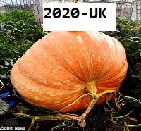 UK largest in 2020