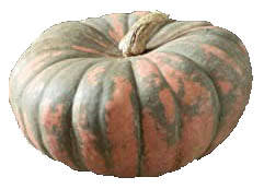 Speckled Hound pumpkin