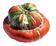 Turk's Turban pumpkin