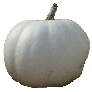 Casper pumpkin