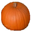 Harvest Moon pumpkin