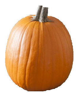 Howden pumpkin