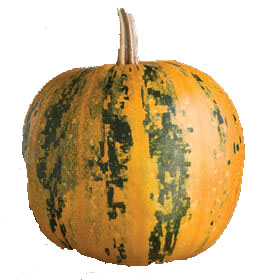 Kakai pumpkin