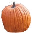 Ol Zeb's pumpkin