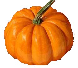 Orangita pumpkin